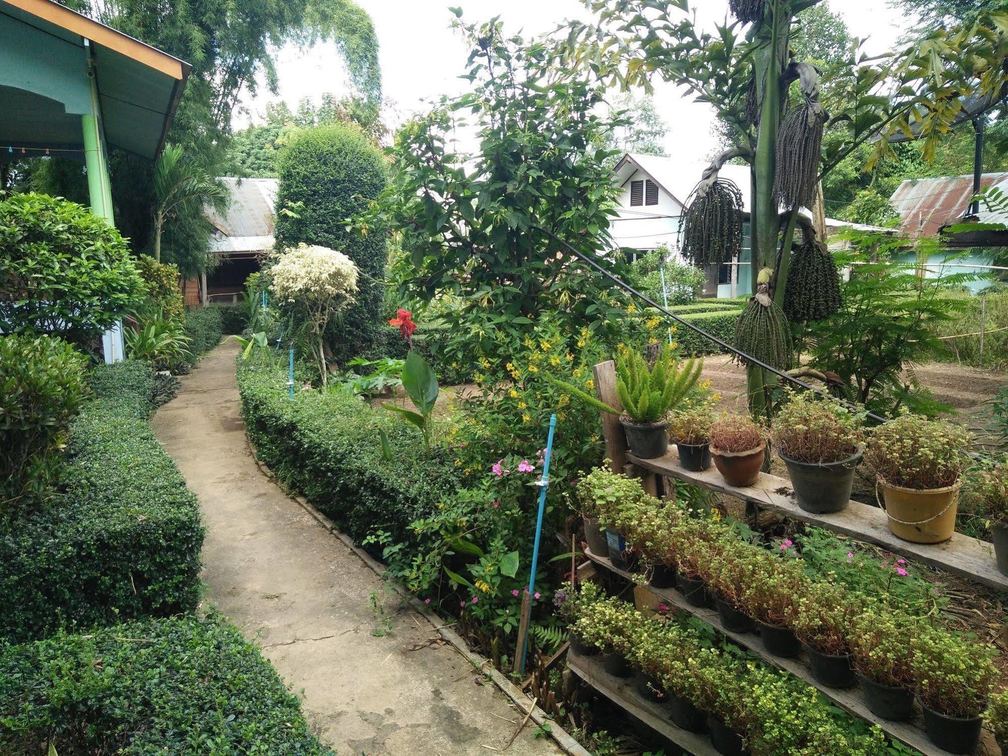 Mr Jan Guesthouse Pai Ngoại thất bức ảnh