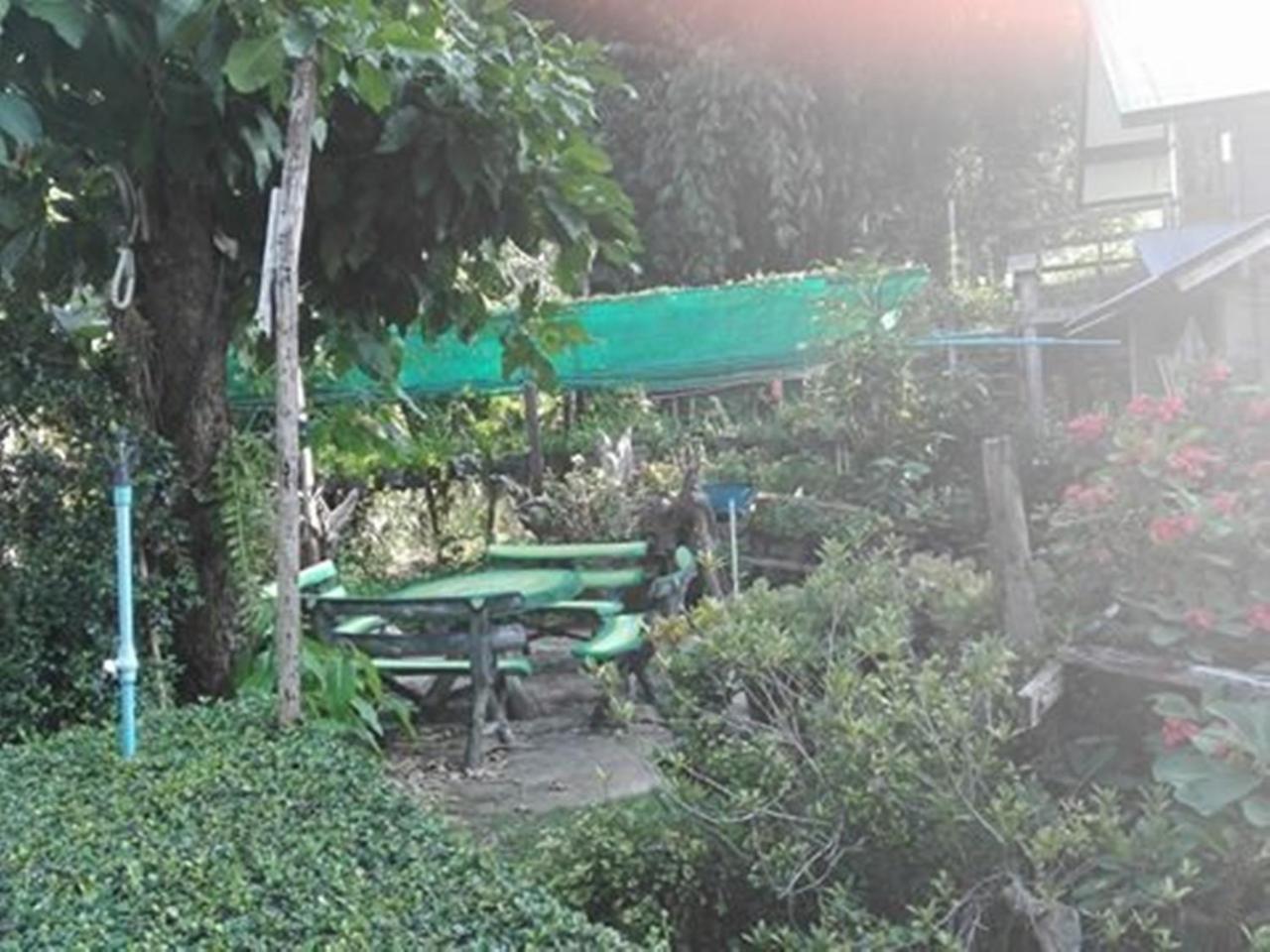 Mr Jan Guesthouse Pai Ngoại thất bức ảnh